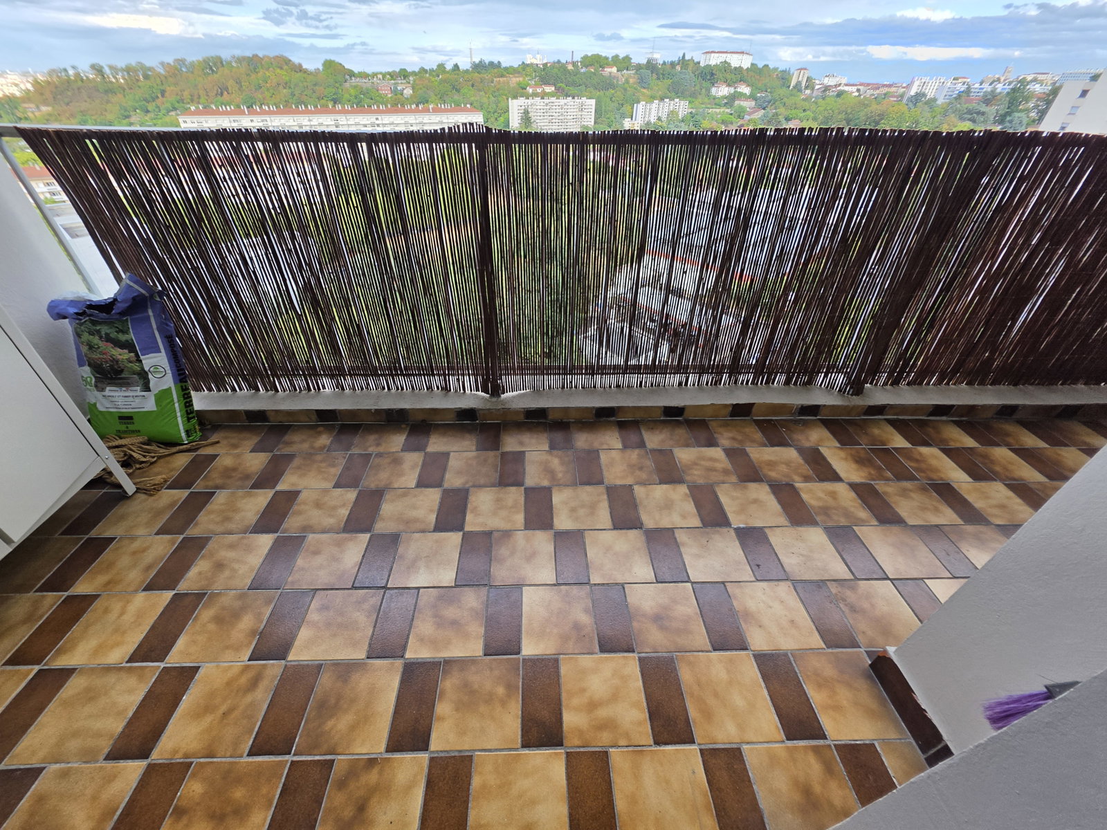 Alojamento Partilhado Lyon 673566