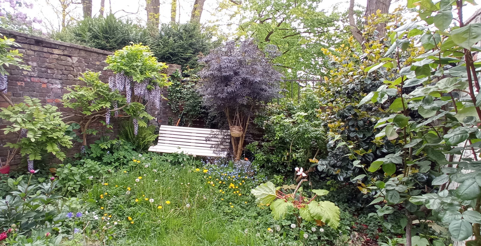 Hospedagem Em Casa De Família Carvin 428631