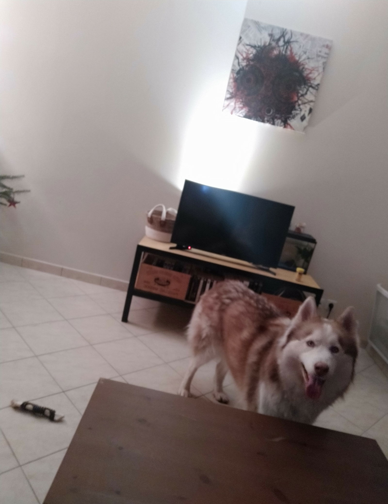 Colocação Villebon-sur-Yvette 246217