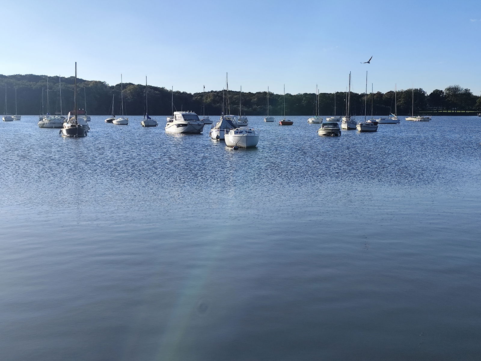 Hospedagem Em Casa De Família Carquefou 443573