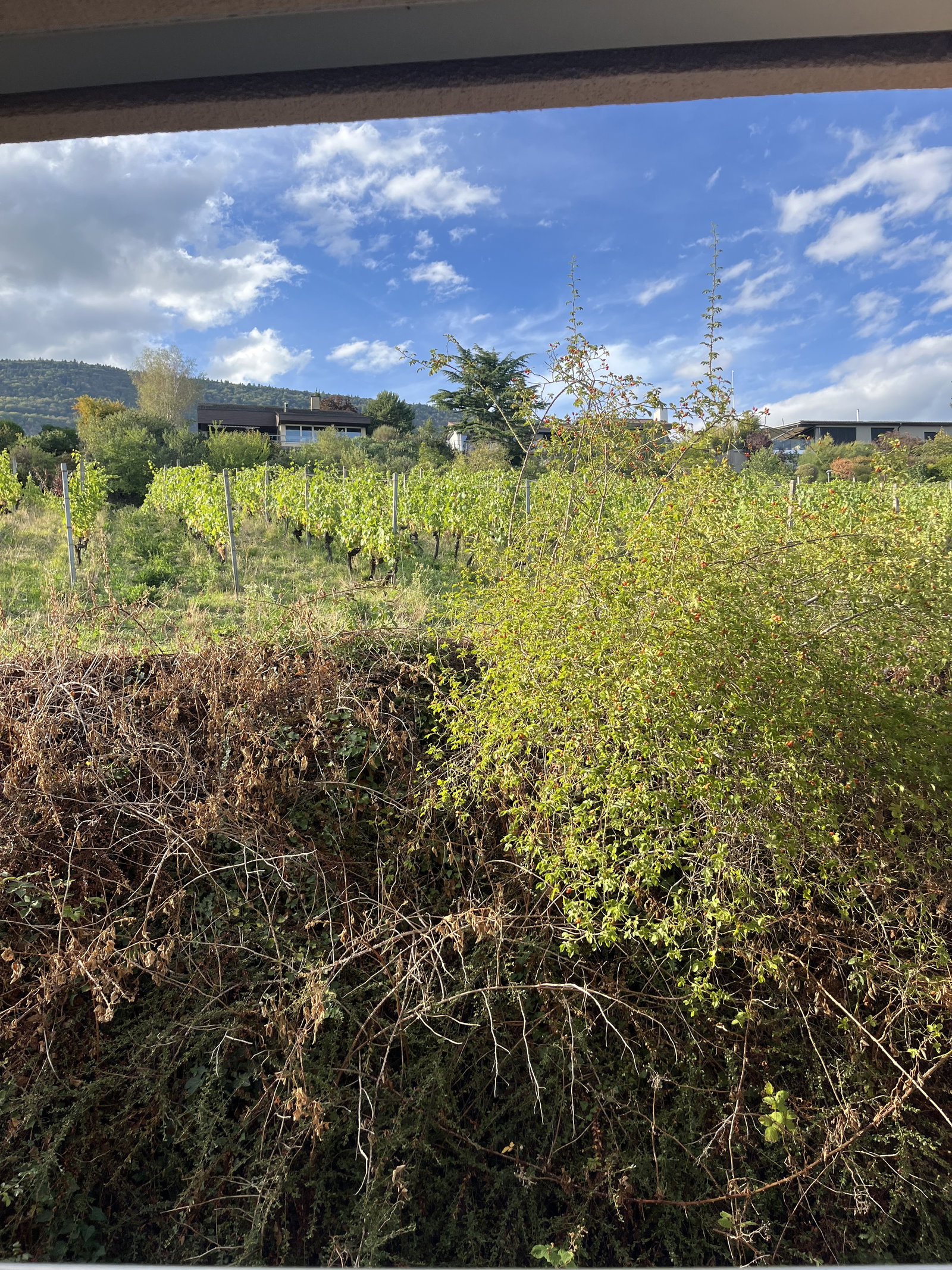 Quarto Em Casa Do Anfitrião Laténa 674414
