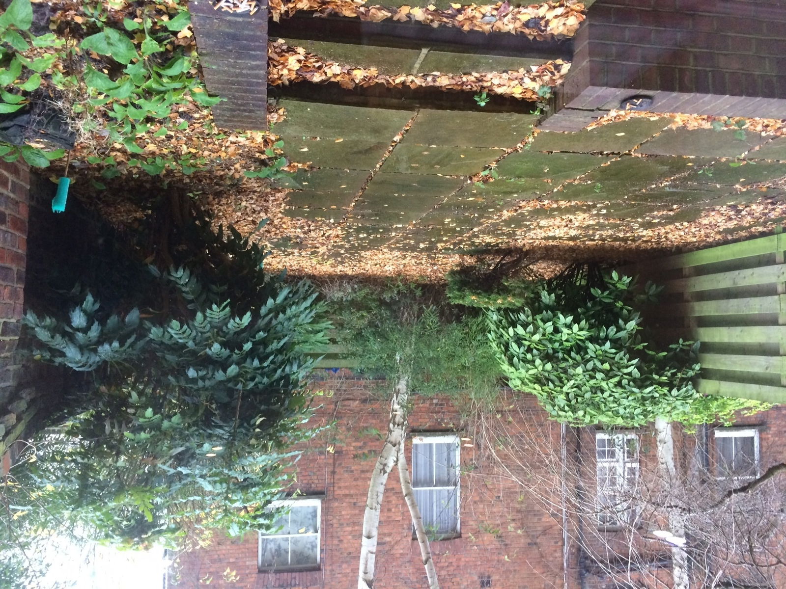 Hospedagem Em Casa De Família London 153753