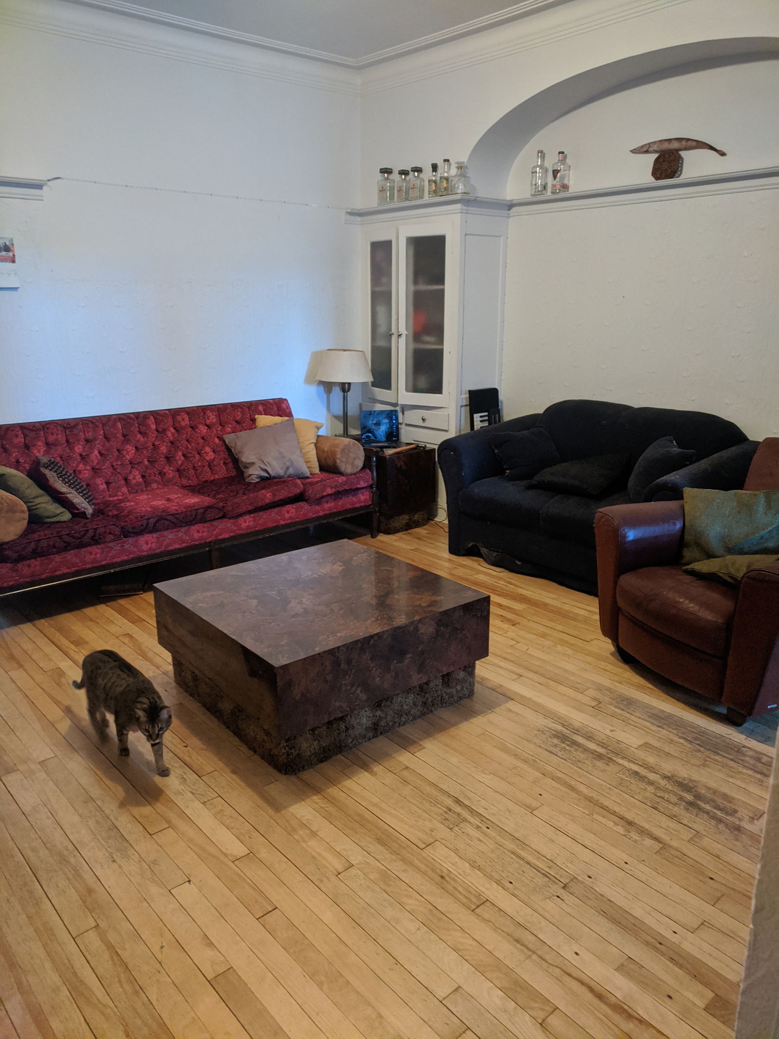 Coliving Montréal 257743