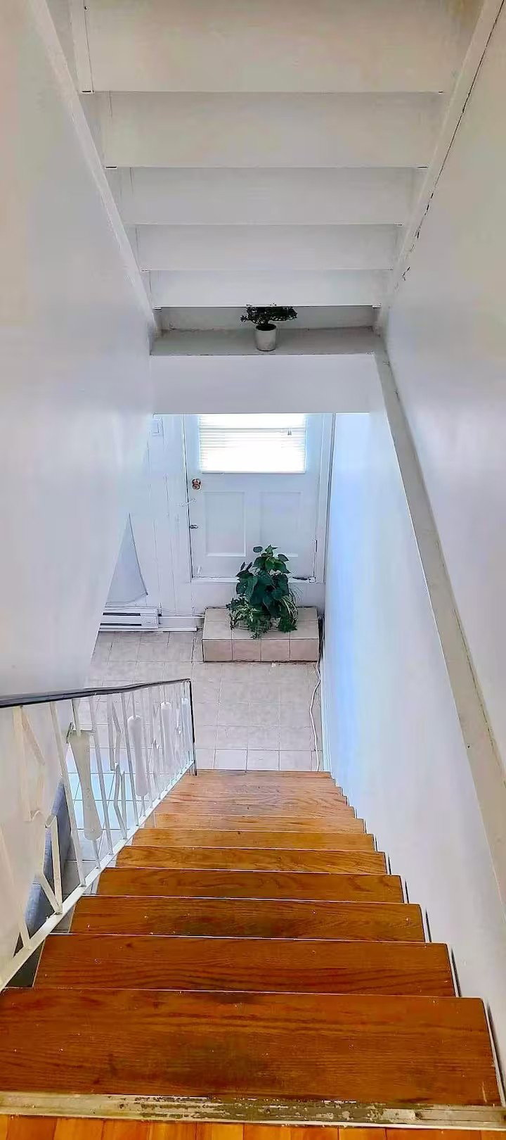 Colocação Montréal 654148