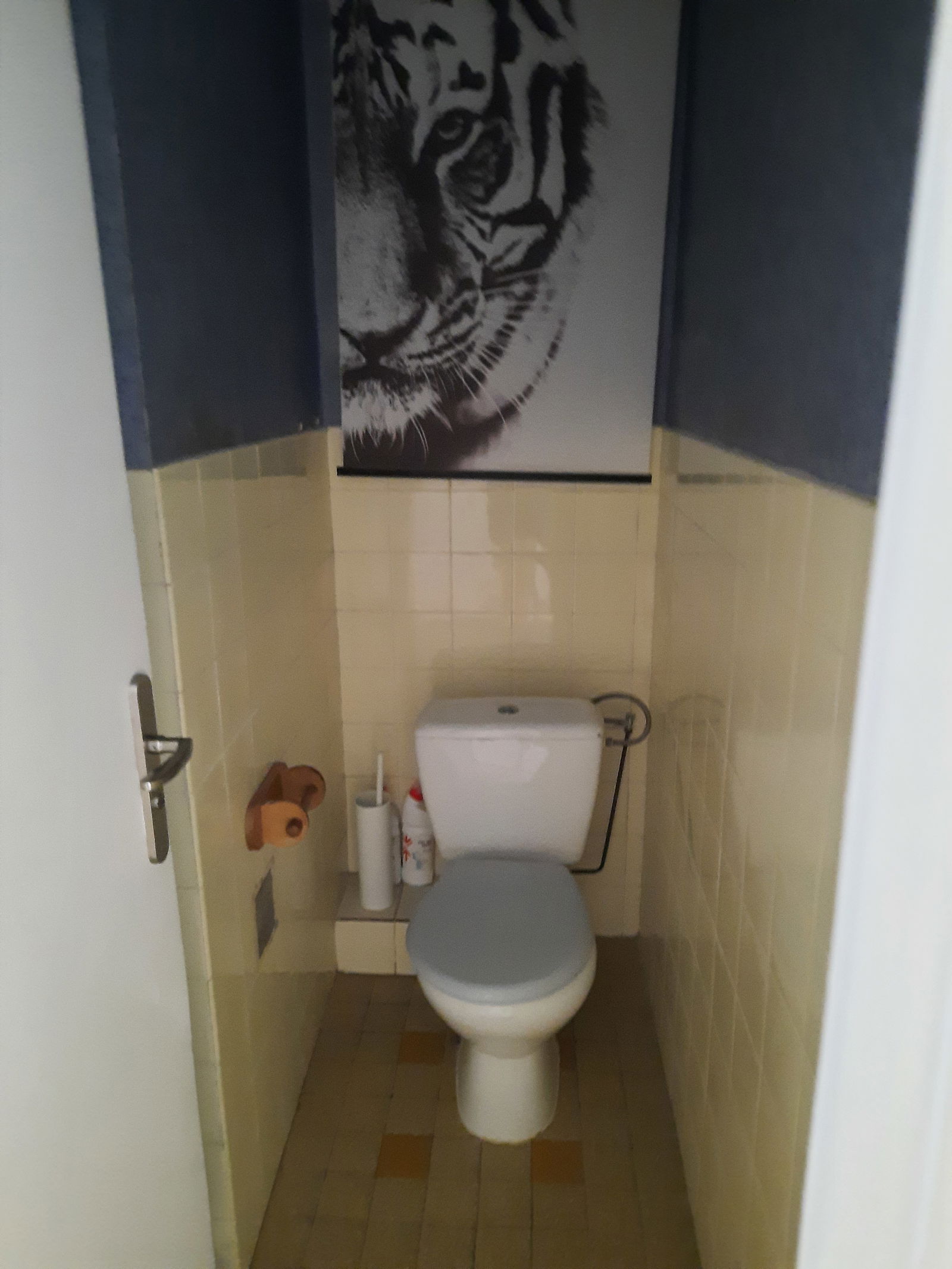 Colocação Nice 622104