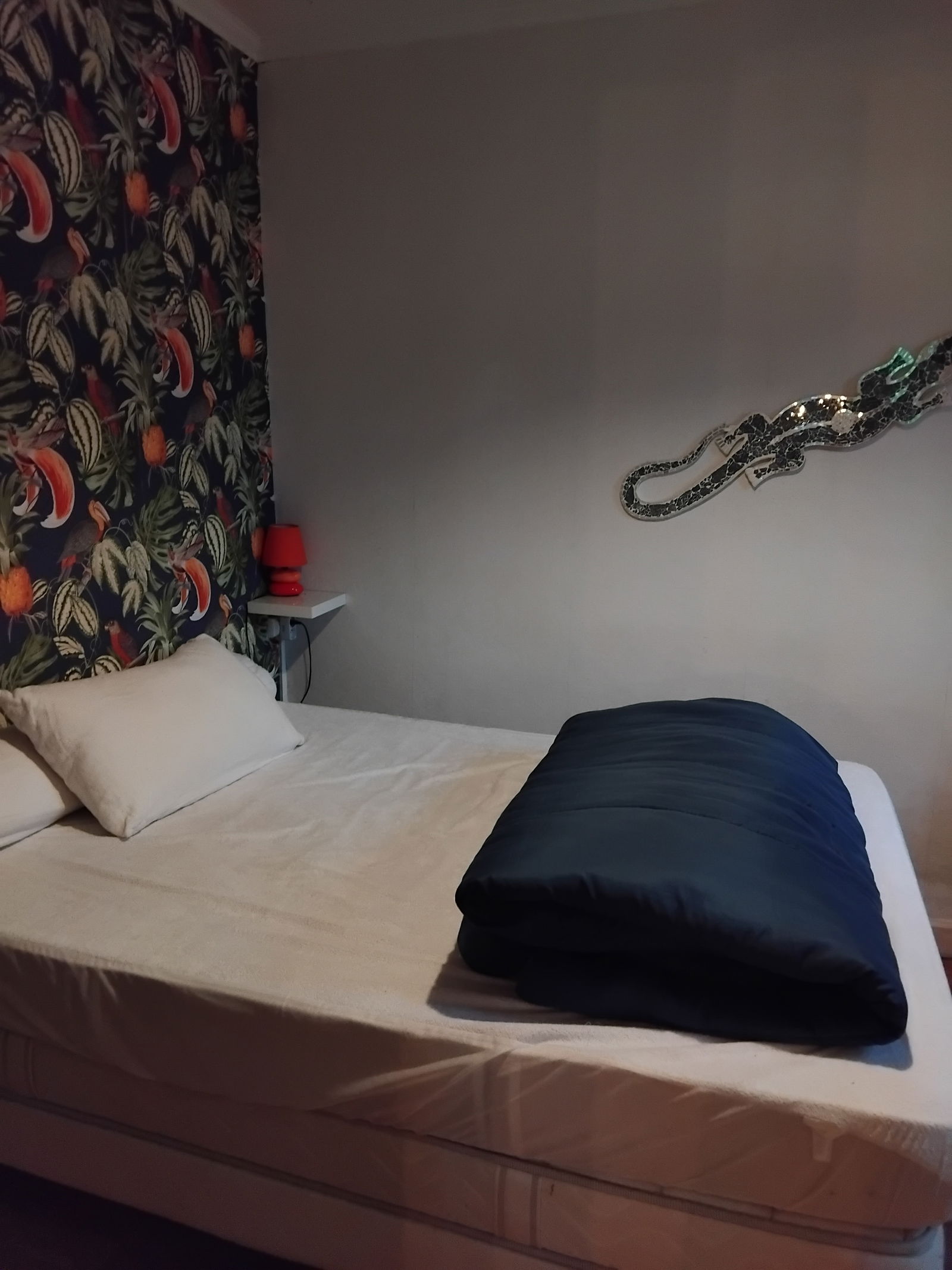 Hospedagem Em Casa De Família Saint-Céré 478901