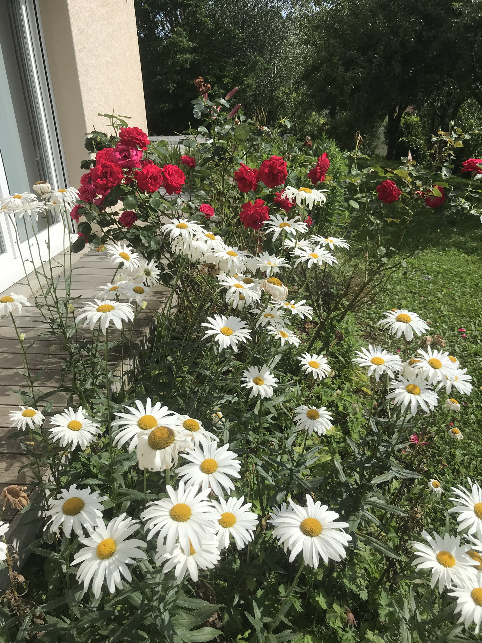 Hospedagem Em Casa De Família Couthenans 420725