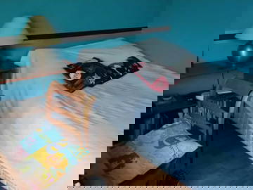 Roomlala | Quarto em casa para estudante