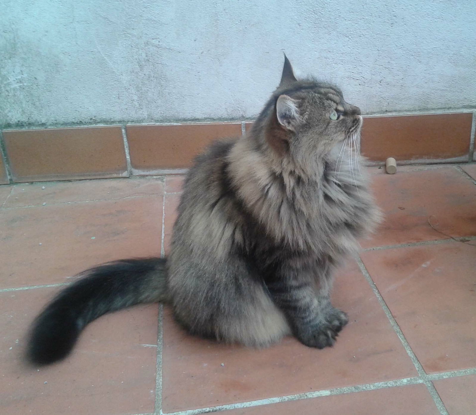 Hospedagem Em Casa De Família Nîmes 142440