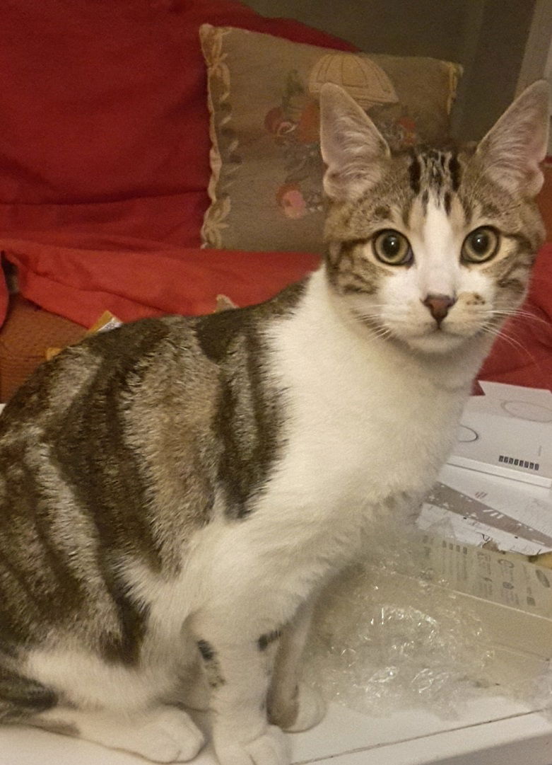 Hospedagem Em Casa De Família Cergy 227800