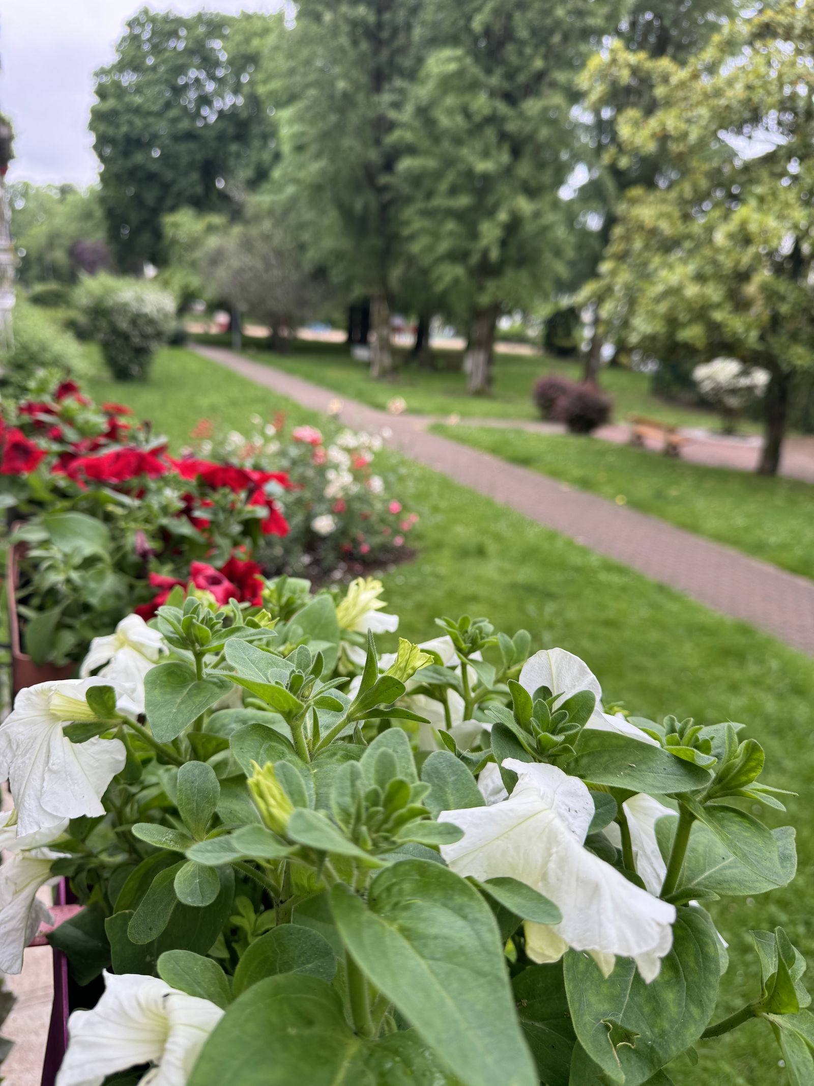 Hospedagem Em Casa De Família Ablon-sur-Seine 441080