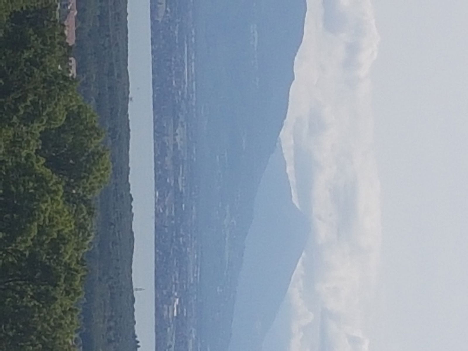 Colocação Grilly 181439