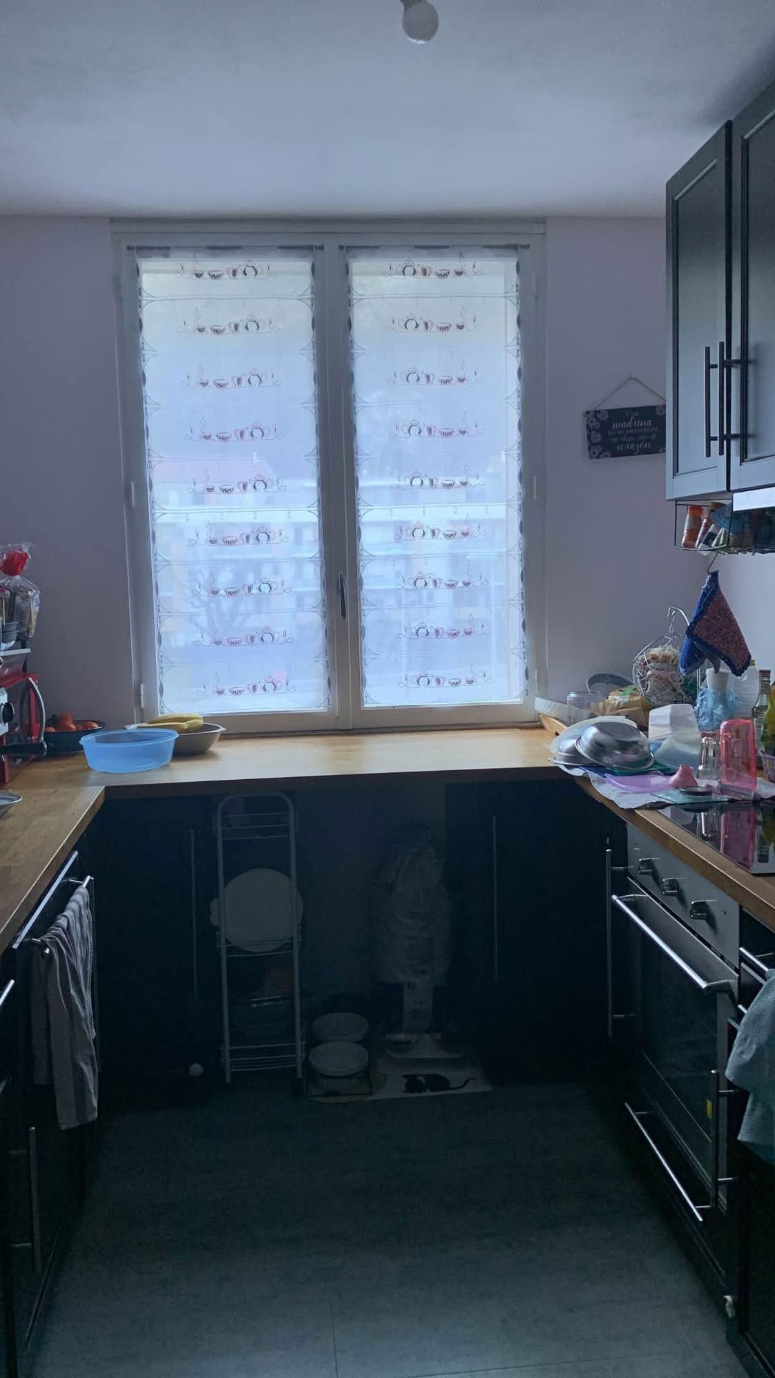 Hospedagem Em Casa De Família Sassenage 653521