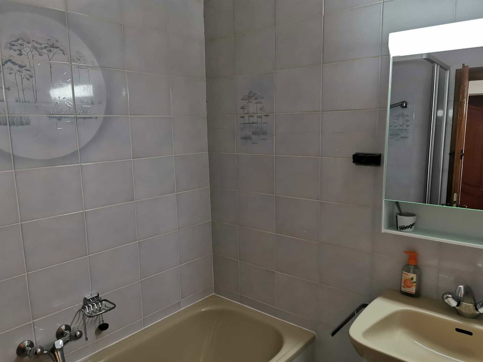 Coliving Vernier 259928