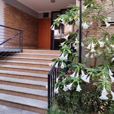 Coliving Roma 498924