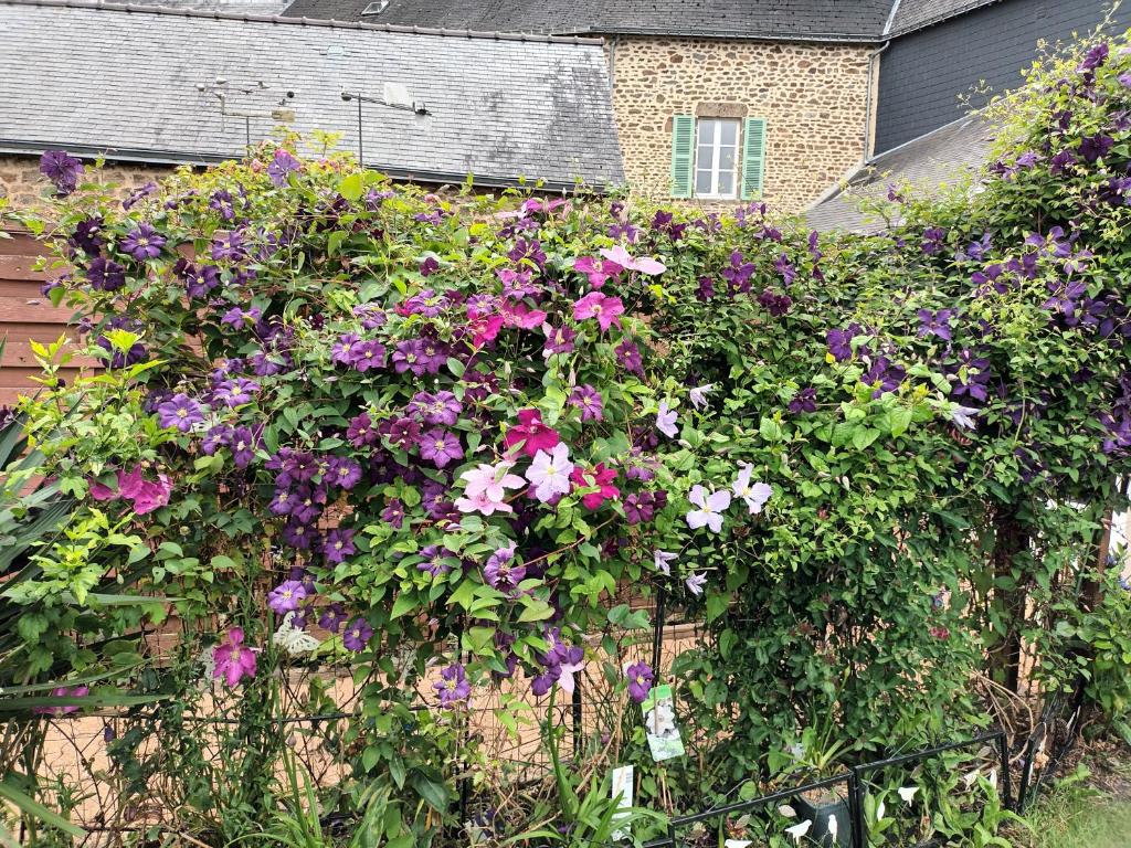 Hospedagem Em Casa De Família Gorron 268224