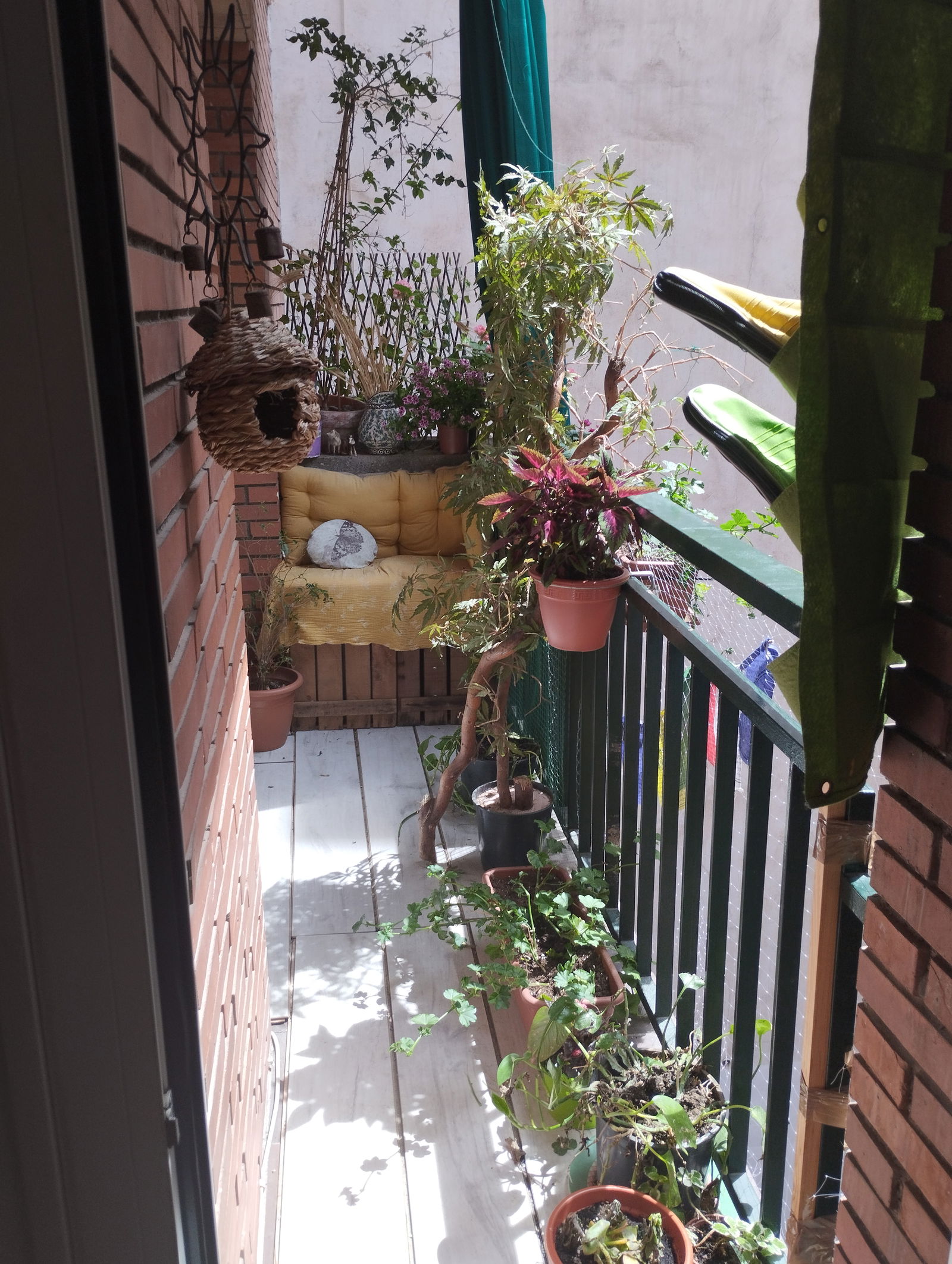 Hospedagem Em Casa De Família Barcelona 268589