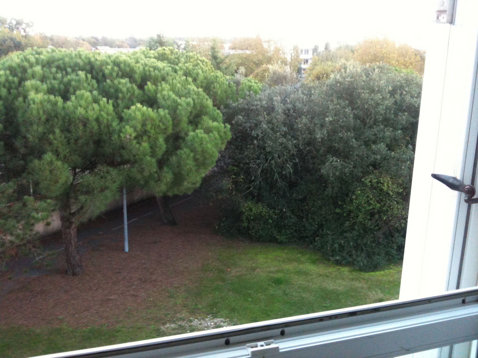 Hospedagem Em Casa De Família La Rochelle 91019