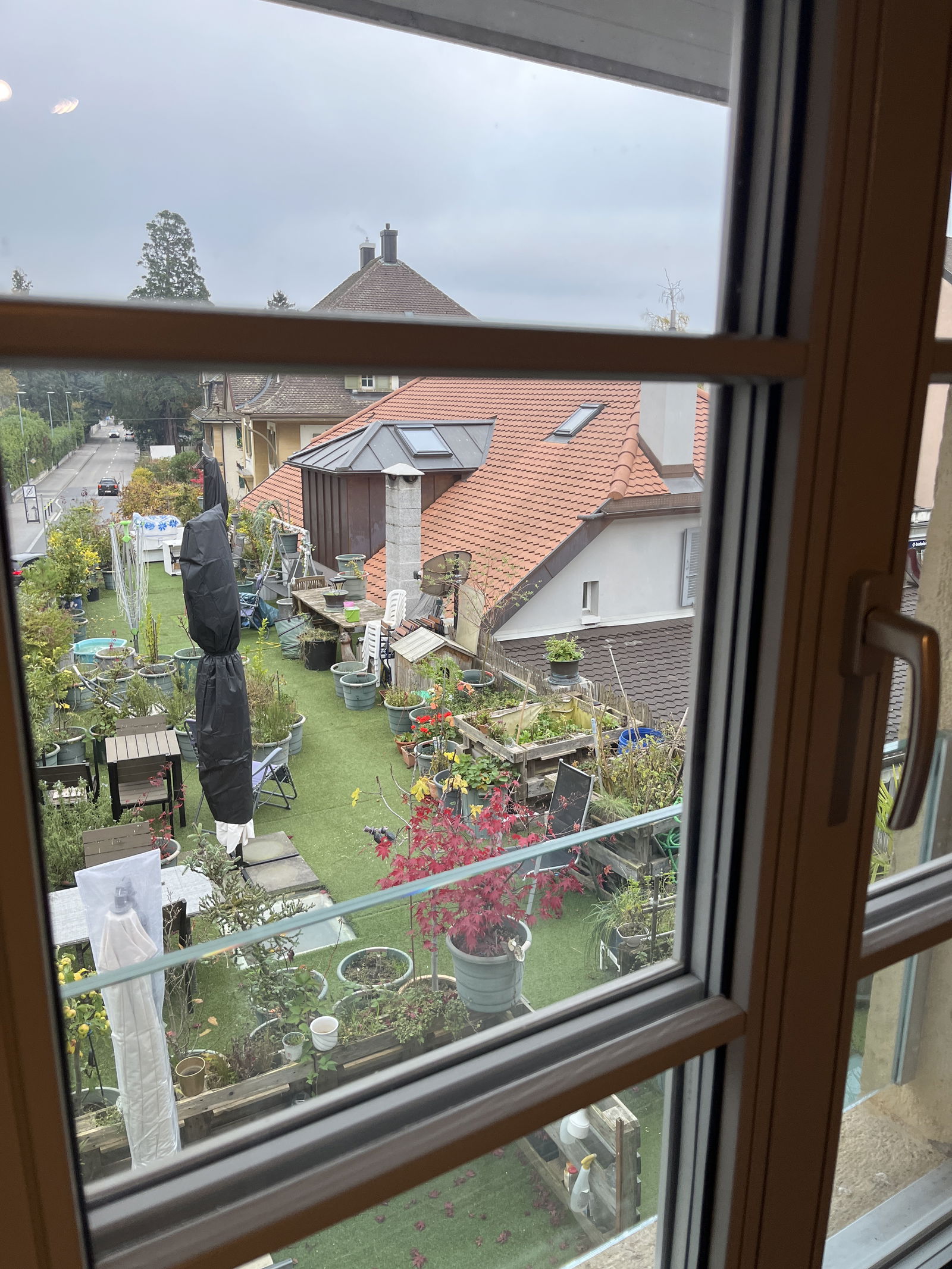 Coliving La Neuveville 447078