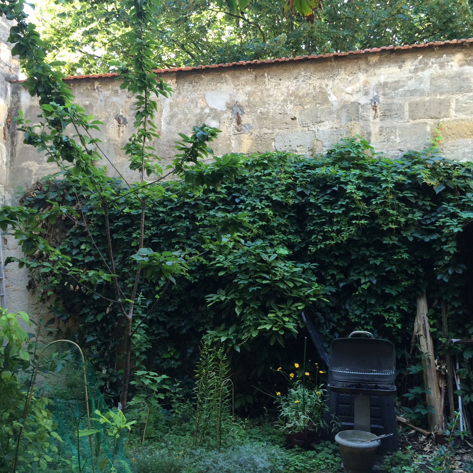 Hospedagem Em Casa De Família Bordeaux 89033