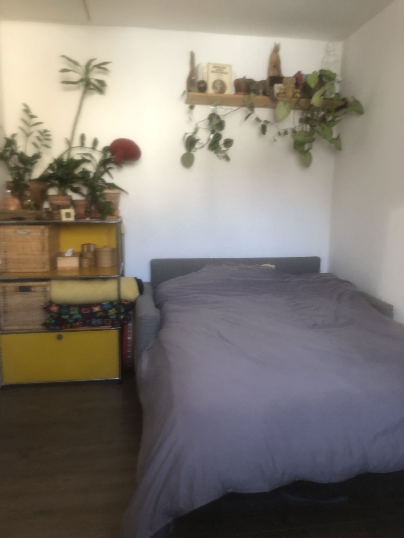 Casa Inteira Paris 638583