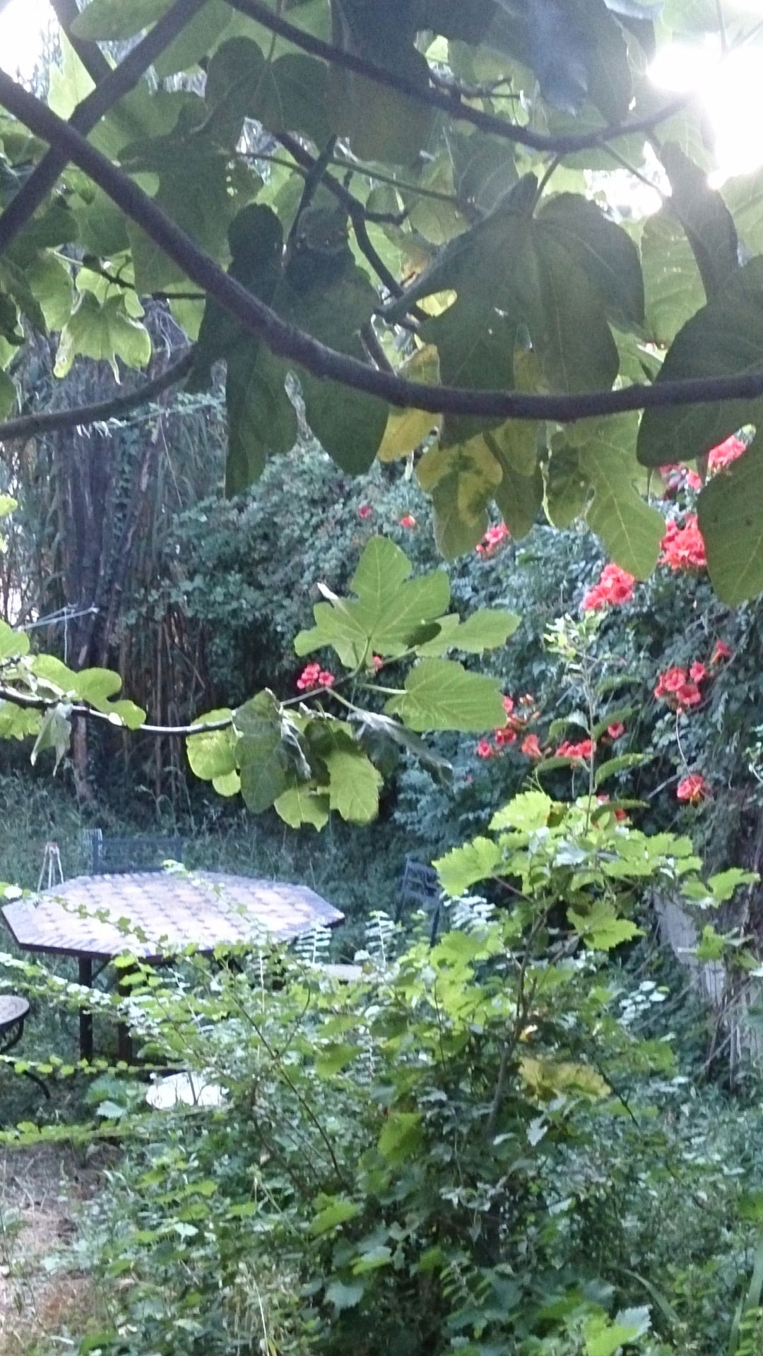 Hospedagem Em Casa De Família Marseille 162219