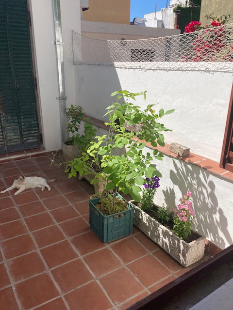 Hospedagem Em Casa De Família CABA 492227