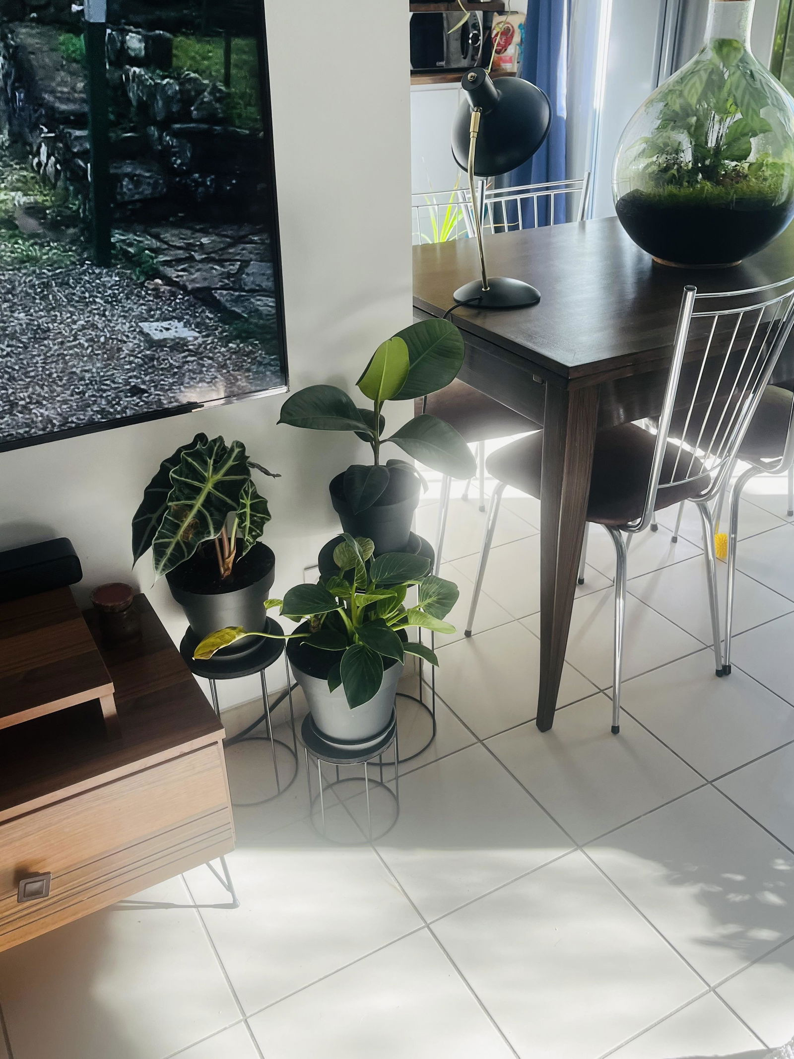 Hospedagem Em Casa De Família Villeneuve-lès-Avignon 508578