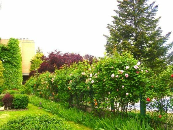 Hospedagem Em Casa De Família Majadahonda 124643