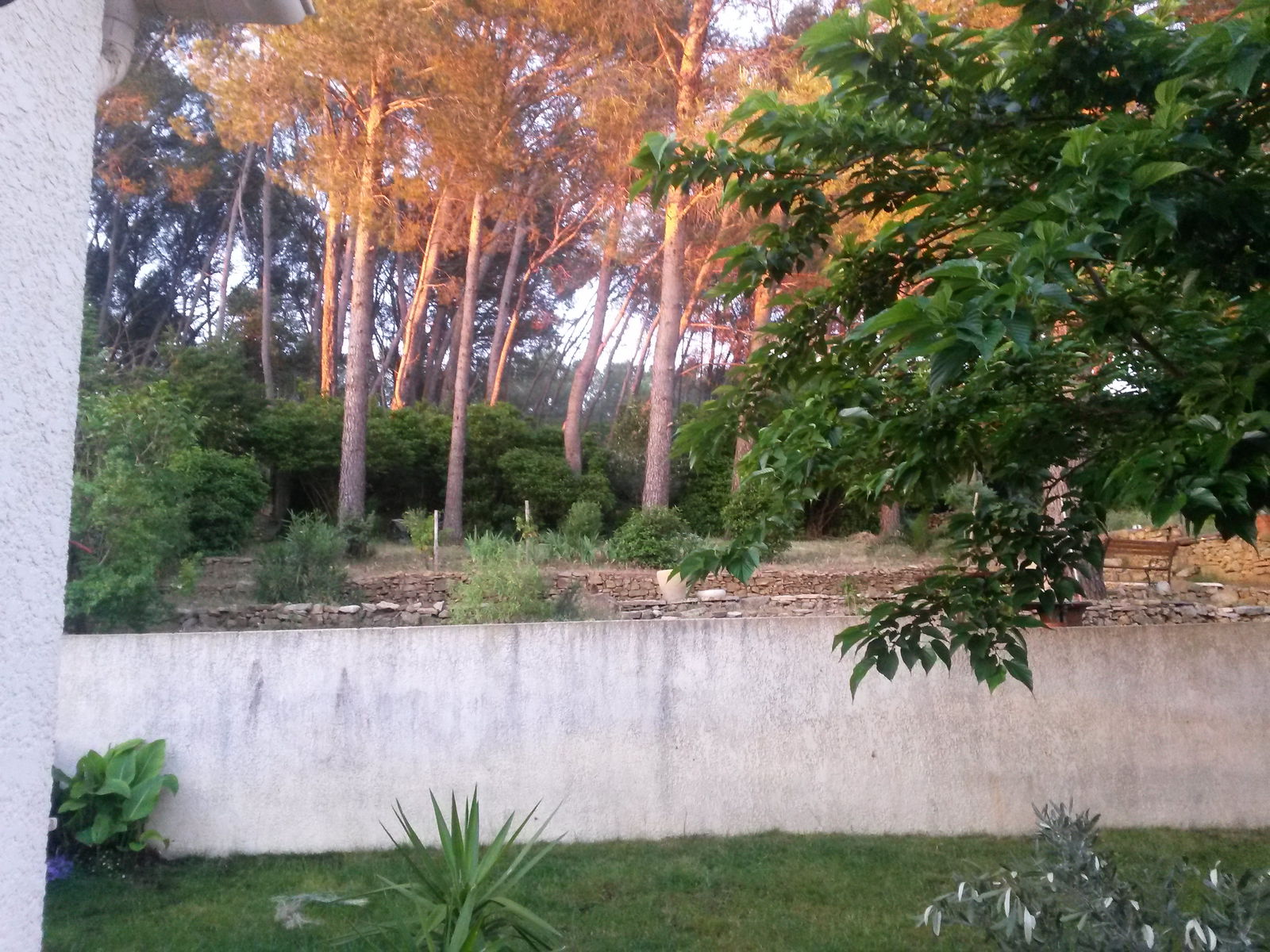 Hospedagem Em Casa De Família Jacou 112532