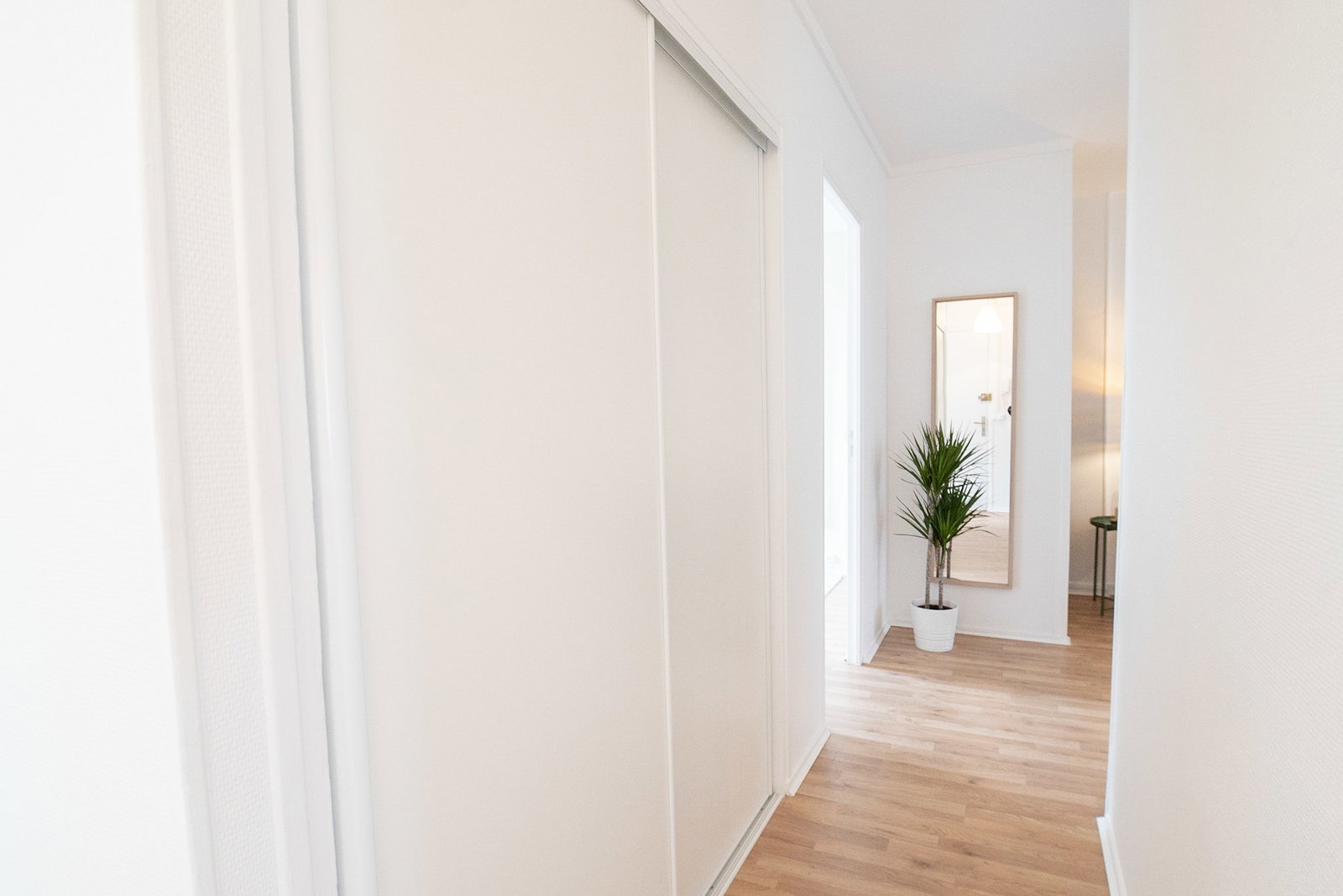 Colocação Rouen 542291