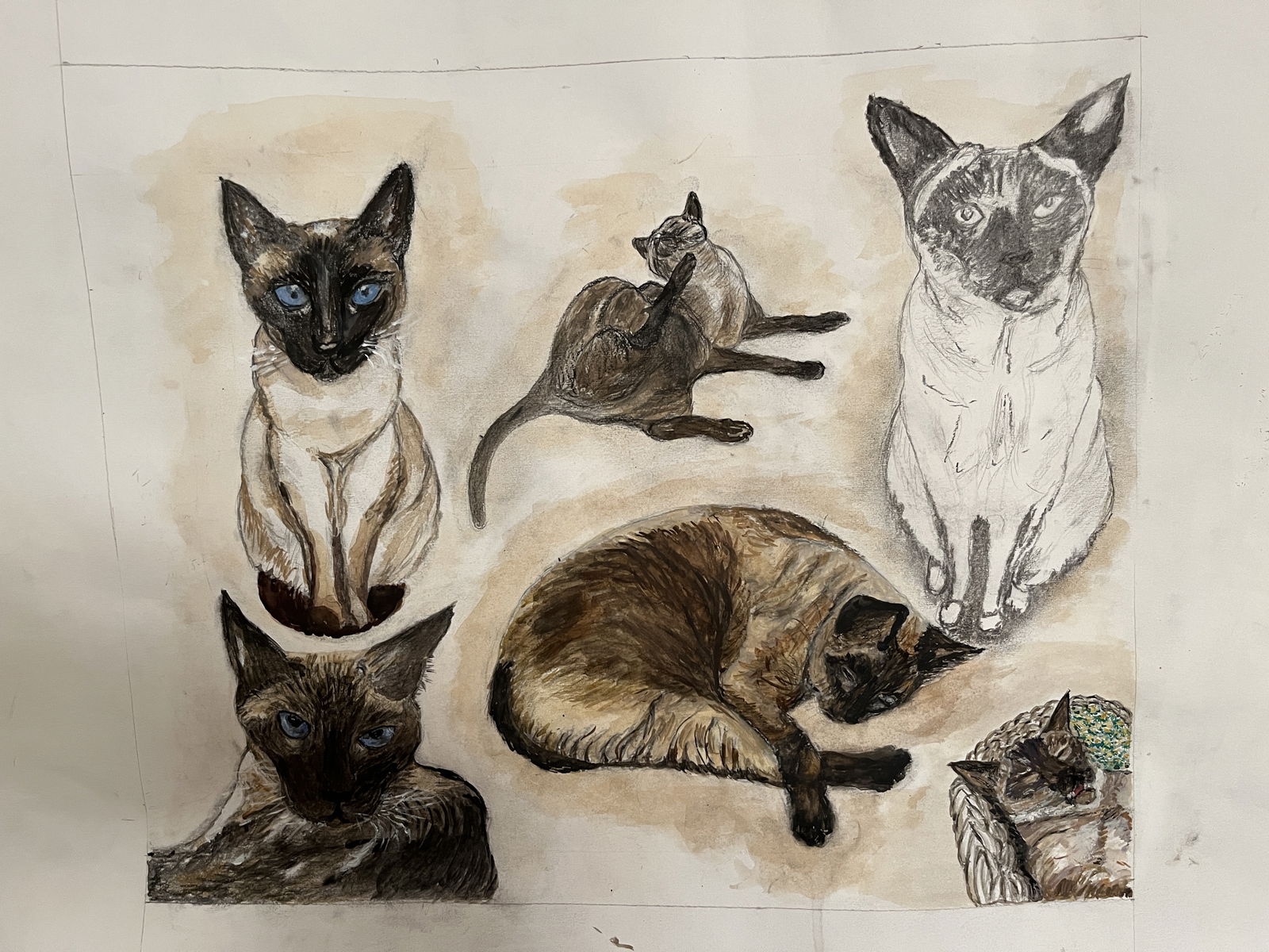 Hospedagem Em Casa De Família Genève 139012