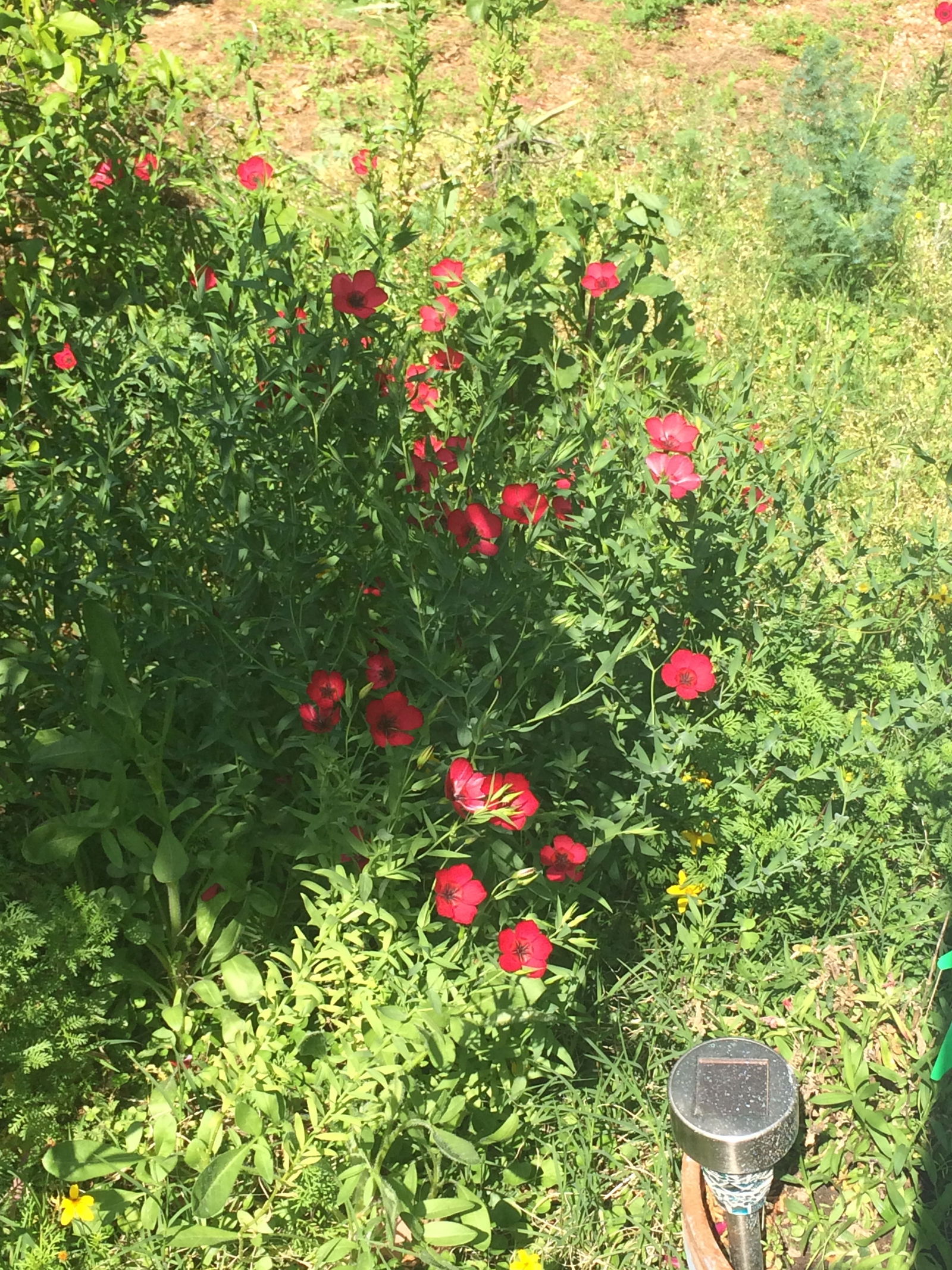 Hospedagem Em Casa De Família Perpignan 108639