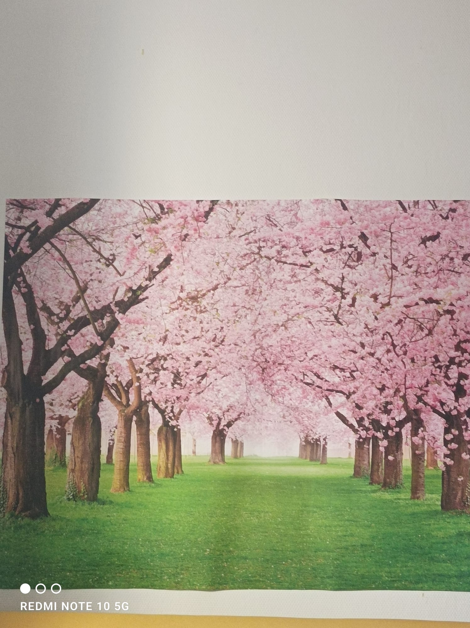 Hospedagem Em Casa De Família Cerbère 387219