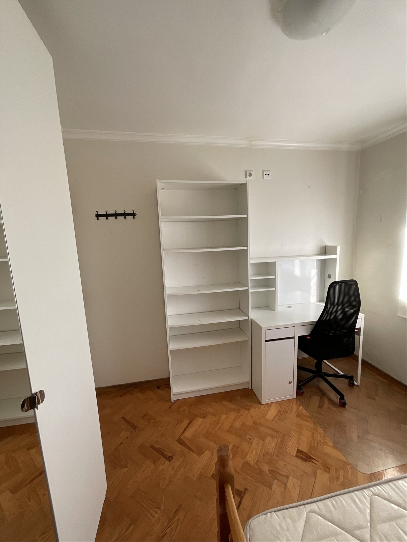 Gastfamilie Lisboa 331520