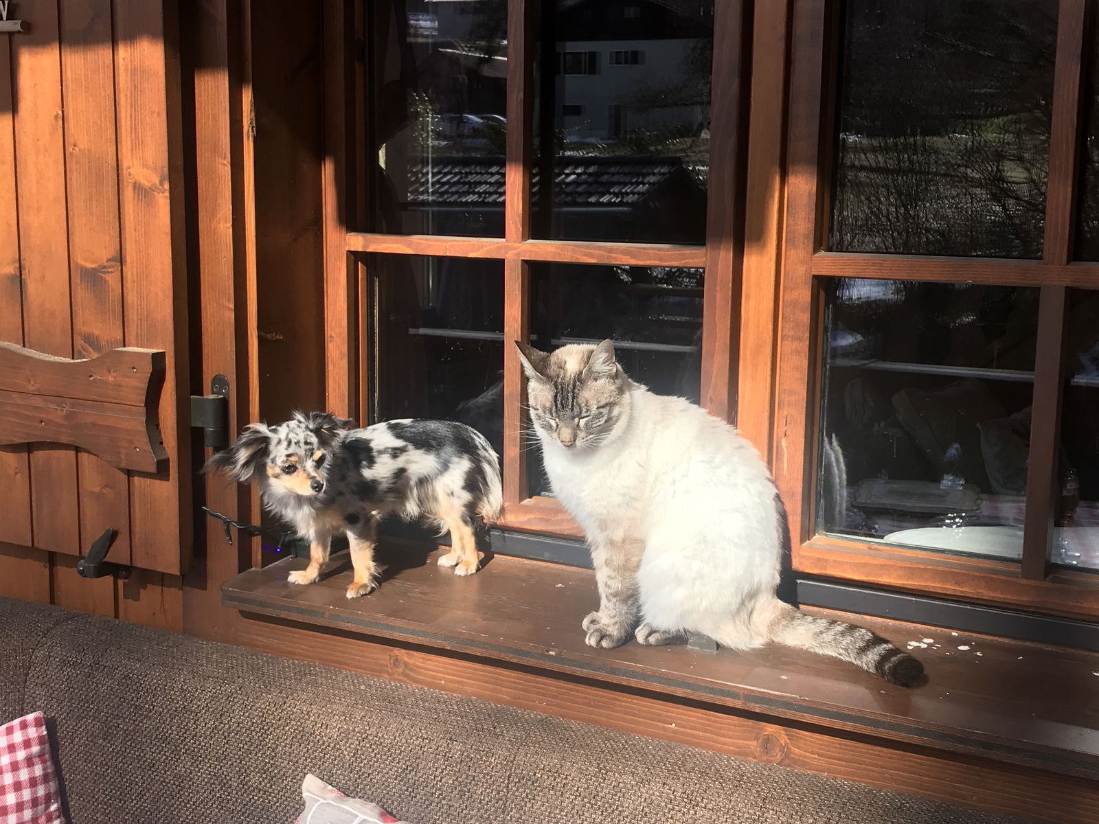 Quartos De Hóspedes Morillon 581722