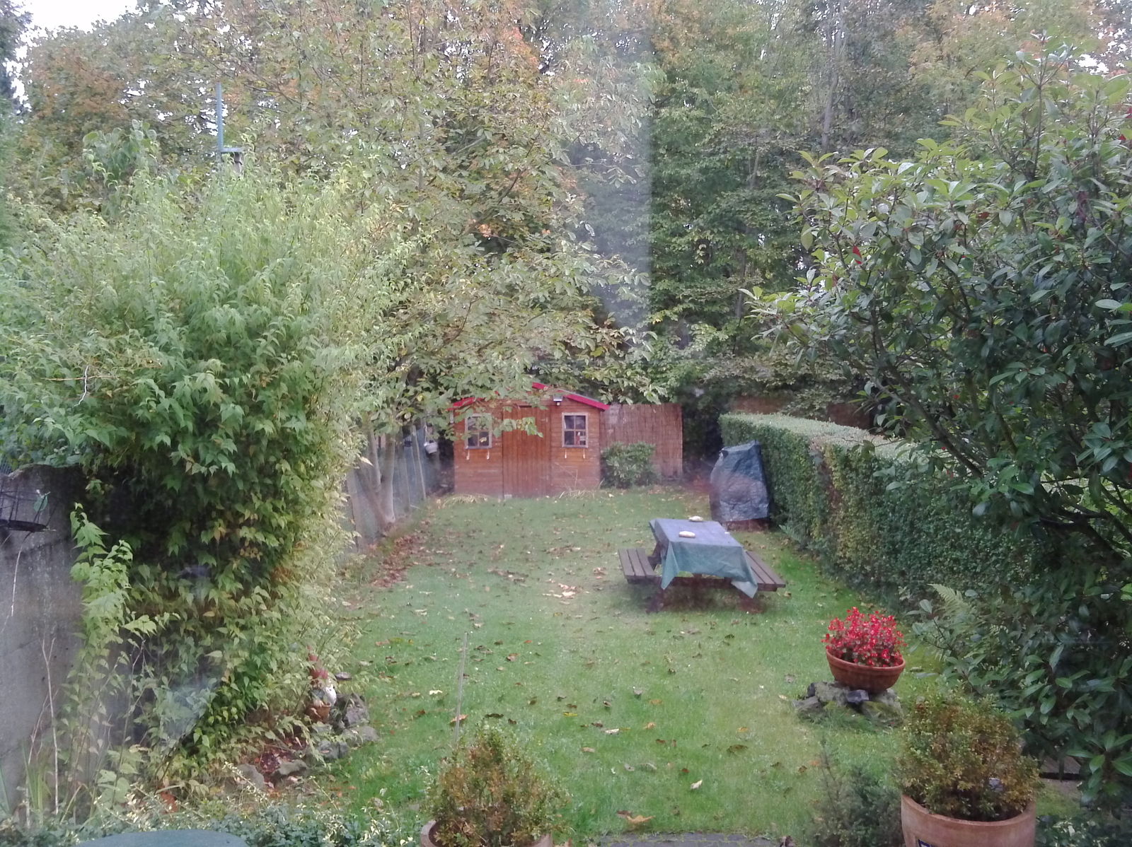 Hospedagem Em Casa De Família Woluwe-Saint-Pierre 66118