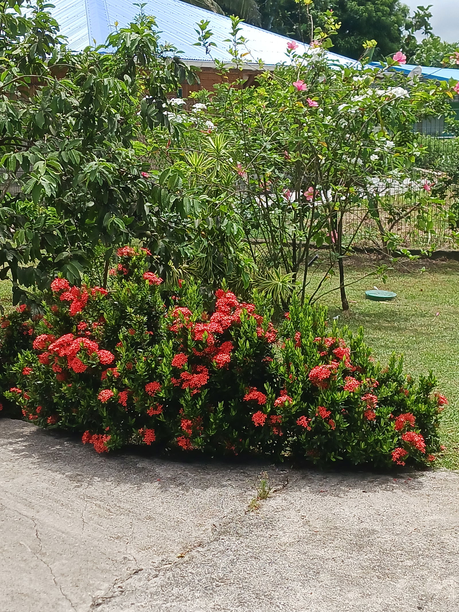 Hospedagem Em Casa De Família Morne-à-l'Eau 128984