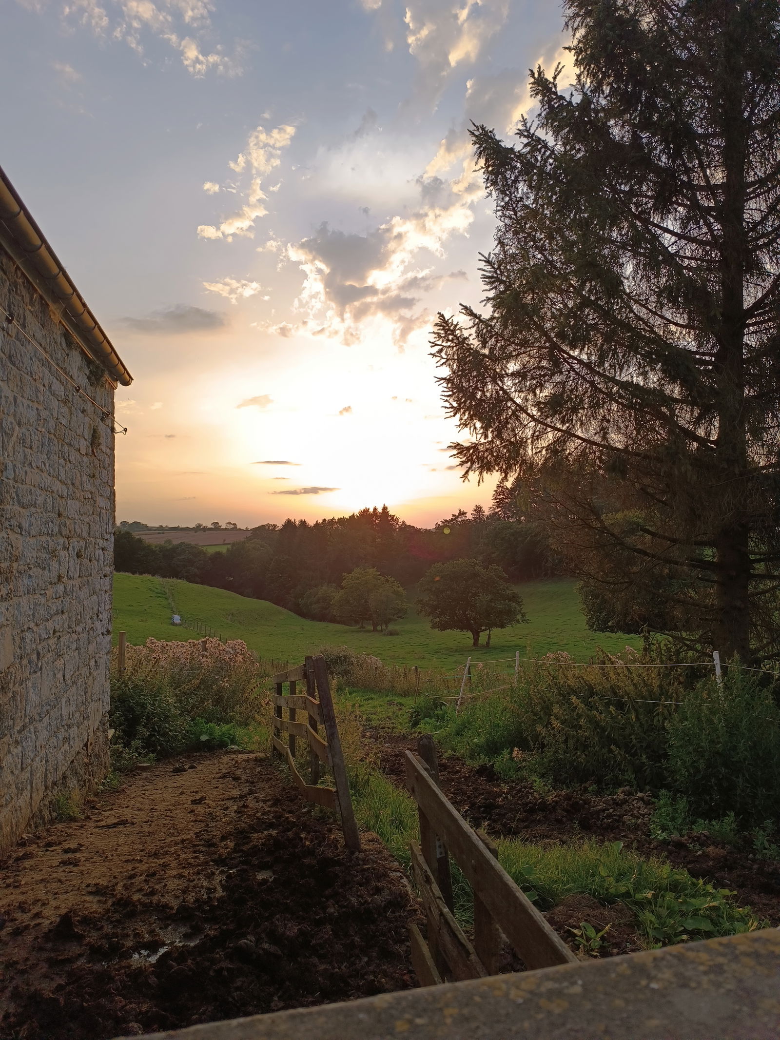 Colocação Beaumont 424851