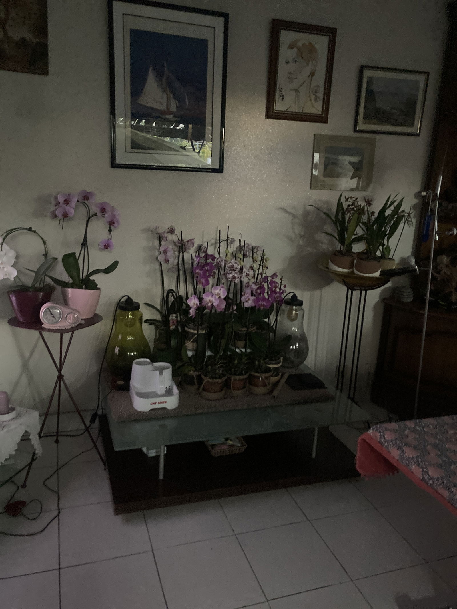 Hospedagem Em Casa De Família Créteil 453561