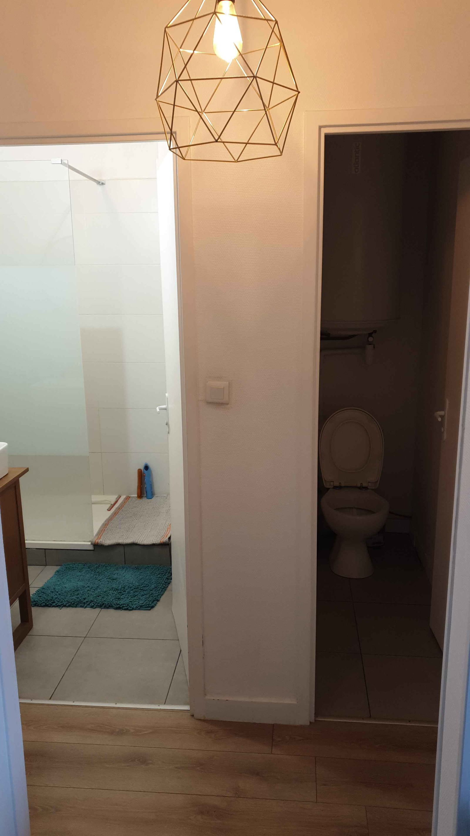 Colocação Villeurbanne 491450