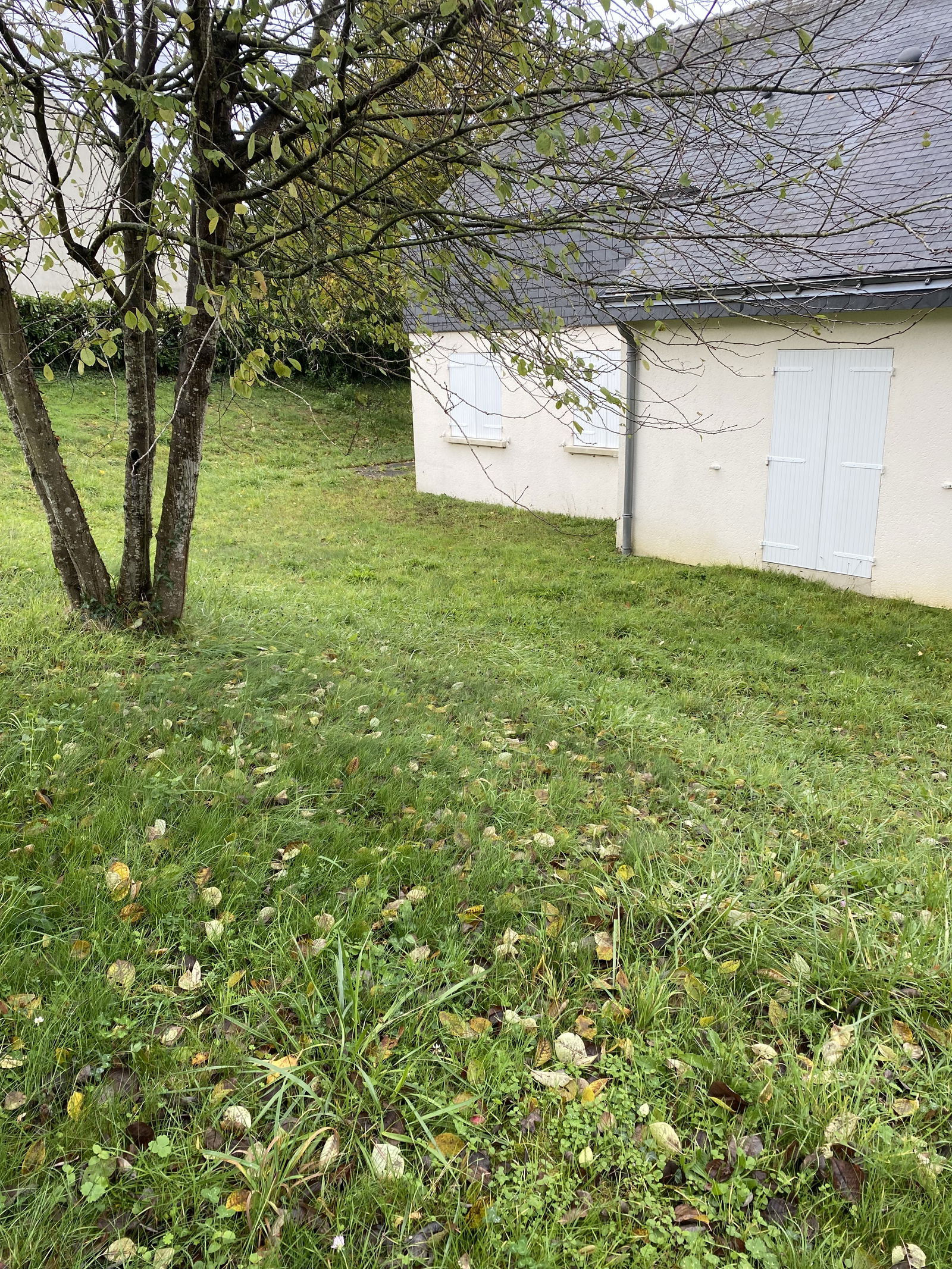 Hospedagem Em Casa De Família Morannes sur Sarthe-Daumeray 634320