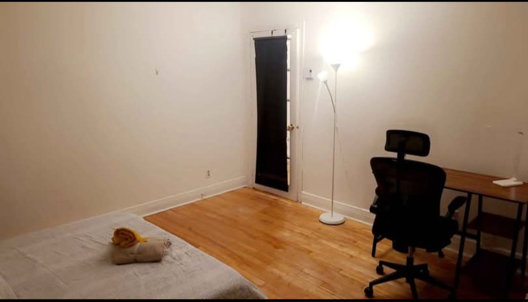 Colocação Montréal 562524