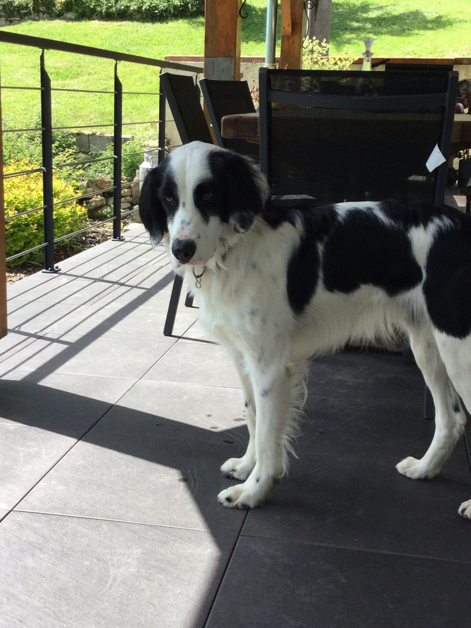 Hospedagem Em Casa De Família Serrières-sur-Ain 119556