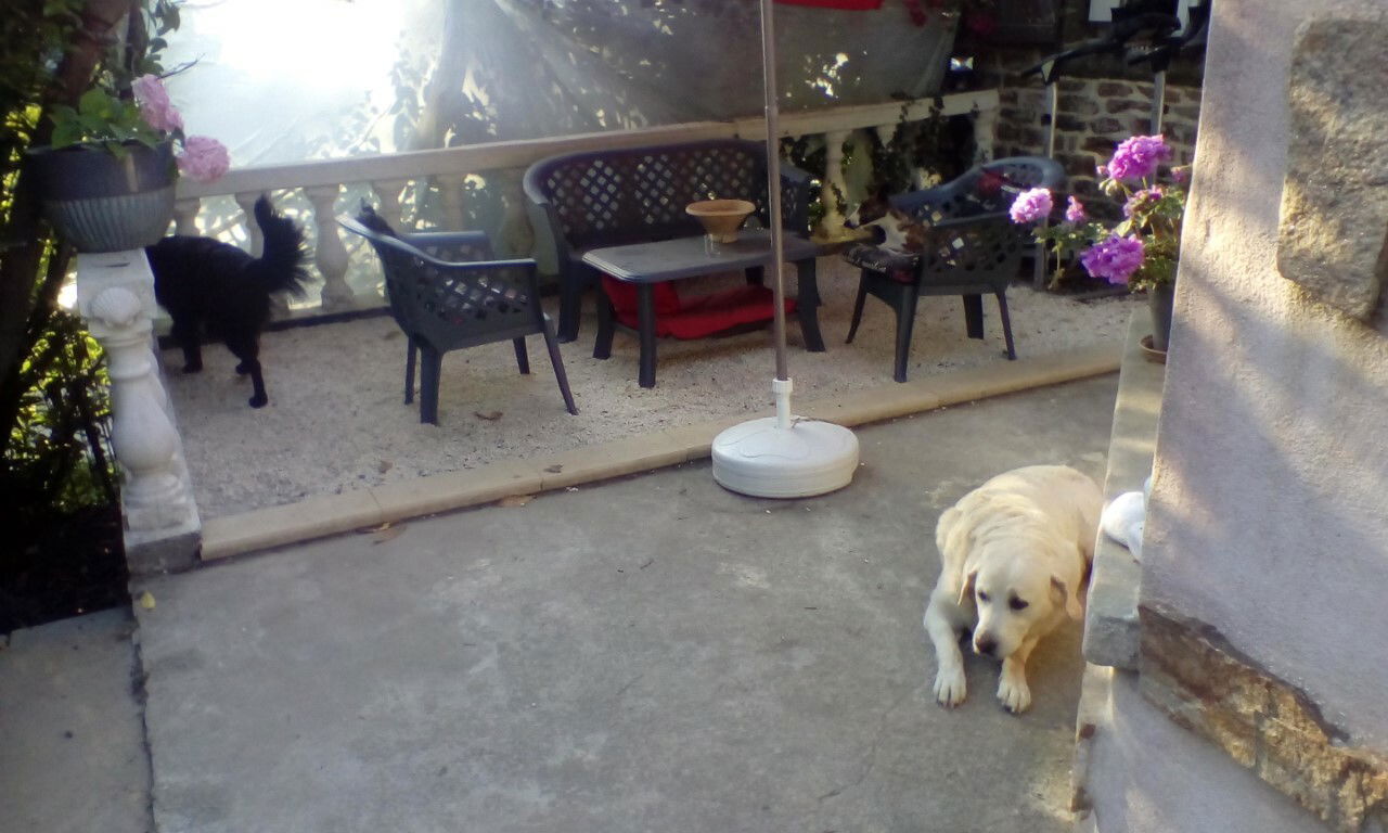 Hospedagem Em Casa De Família Plémet 256996