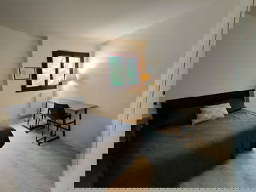Roomlala | Quarto para alugar - Chatenay Malabry