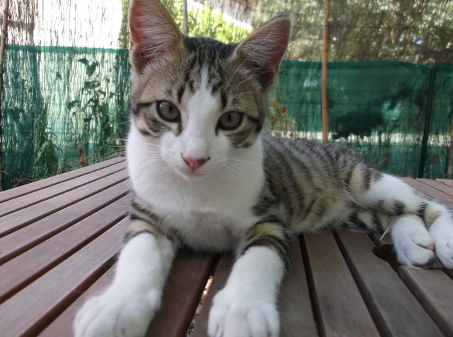 Hospedagem Em Casa De Família Livron-sur-Drôme 35699