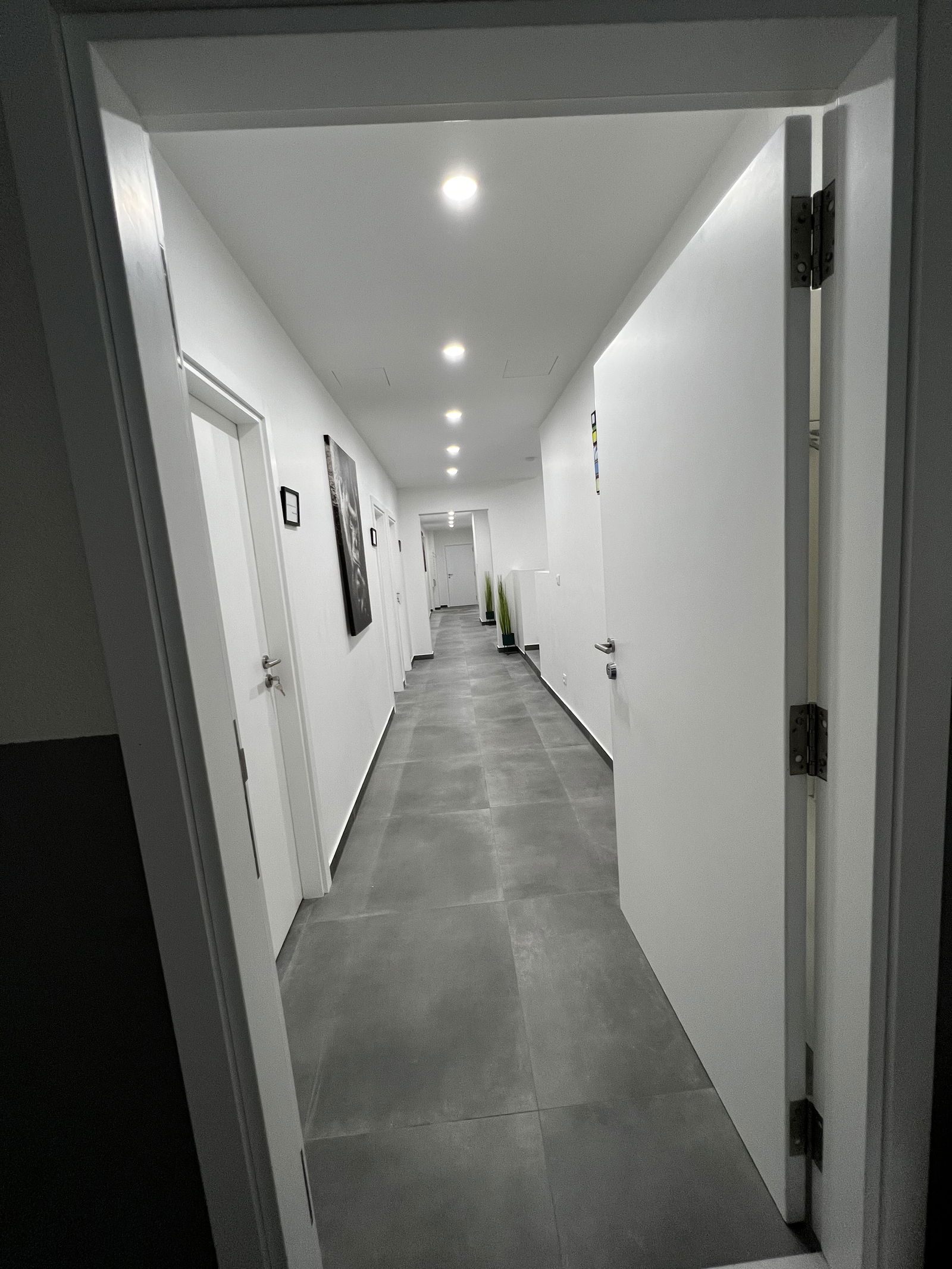 Colocação Strasbourg 485644