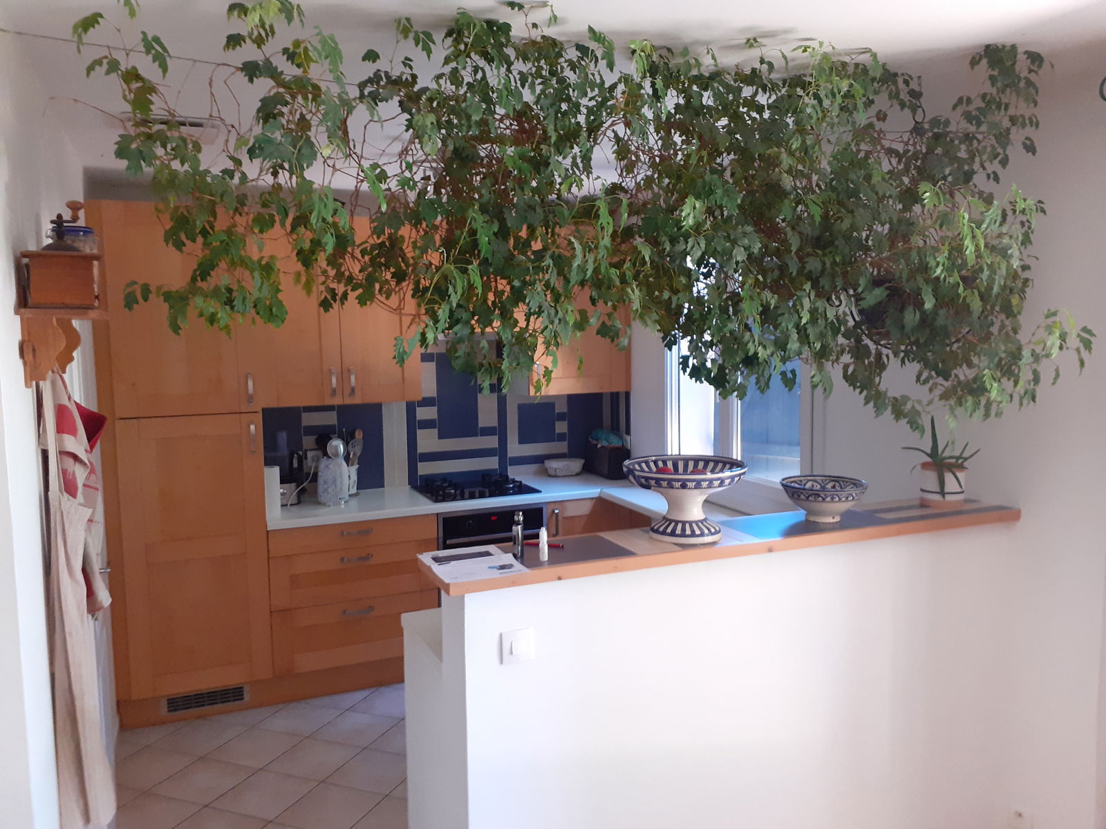 Hospedagem Em Casa De Família Caissargues 495832