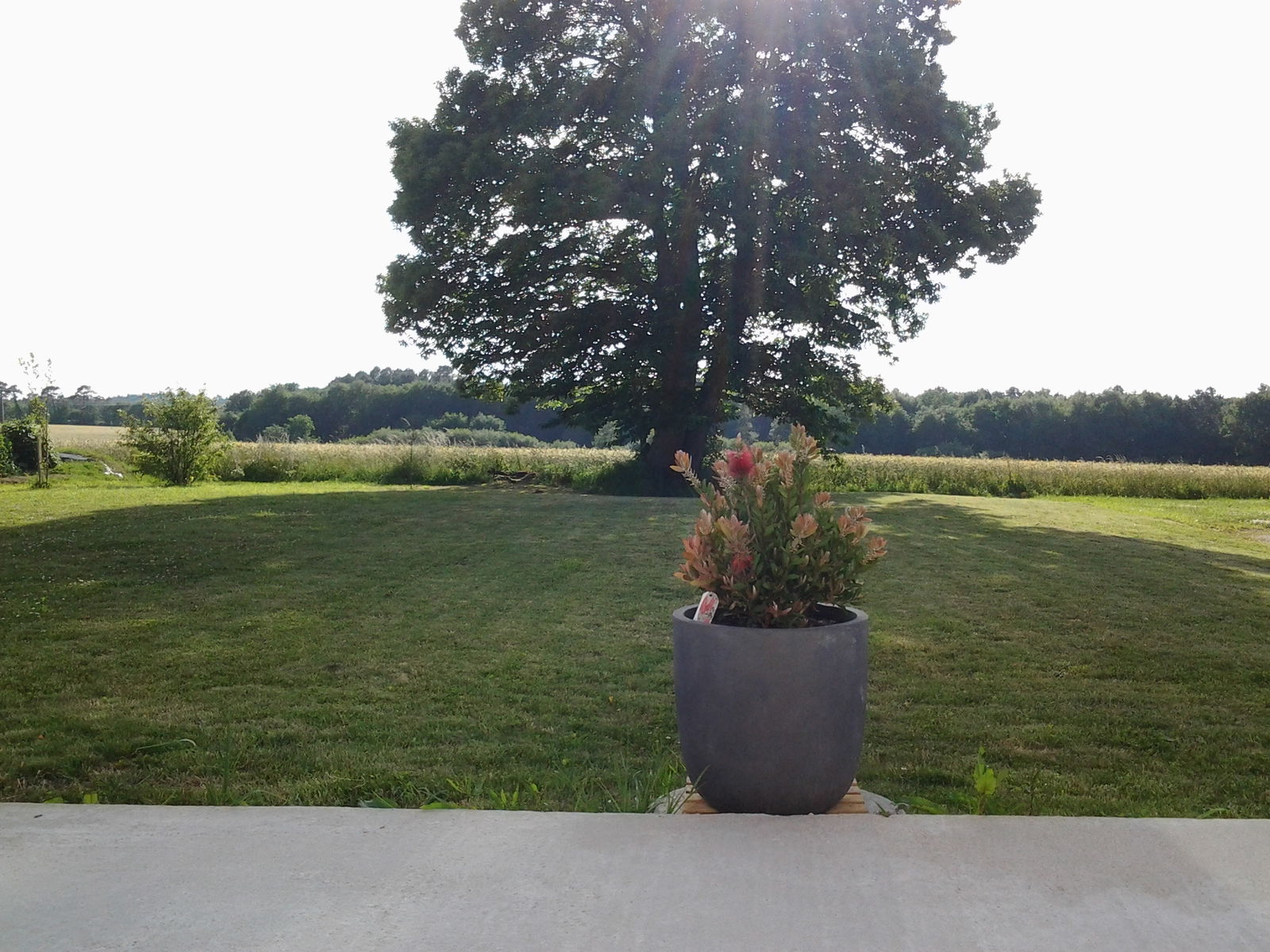 Hospedagem Em Casa De Família Saint-Guyomard 73140